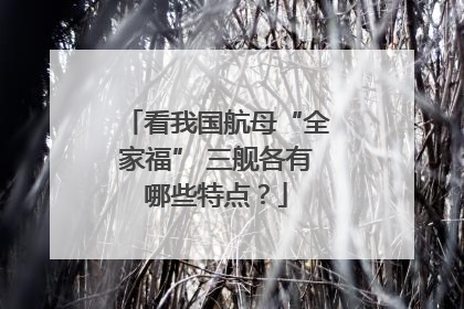 看我国航母“全家福” 三舰各有哪些特点？
