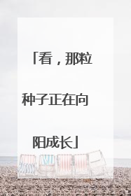 看，那粒种子正在向阳成长