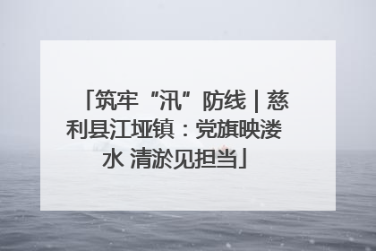 筑牢“汛”防线｜慈利县江垭镇：党旗映溇水 清淤见担当
