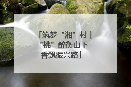 筑梦“湘”村｜“桃”醉衡山下 香飘振兴路