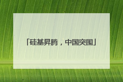 硅基昇腾，中国突围