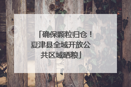 确保颗粒归仓！夏津县全域开放公共区域晒粮