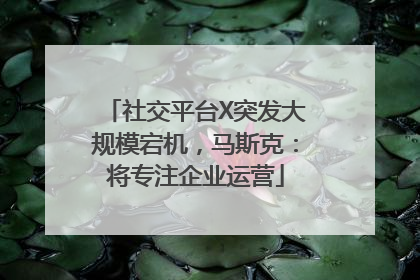 社交平台X突发大规模宕机，马斯克：将专注企业运营