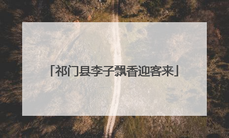 祁门县李子飘香迎客来