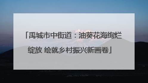 禹城市中街道：油葵花海绚烂绽放 绘就乡村振兴新画卷