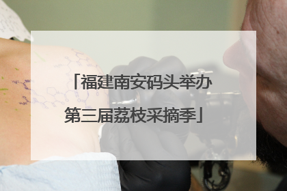 福建南安码头举办第三届荔枝采摘季