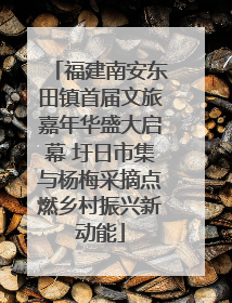 福建南安东田镇首届文旅嘉年华盛大启幕 圩日市集与杨梅采摘点燃乡村振兴新动能