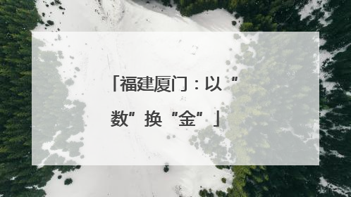 福建厦门：以“数”换“金”