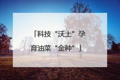 科技“沃土”孕育油菜“金种”