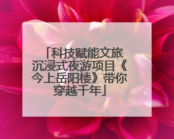 科技赋能文旅 沉浸式夜游项目《今上岳阳楼》带你穿越千年