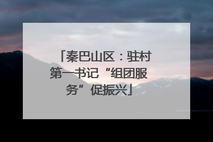 秦巴山区：驻村第一书记“组团服务”促振兴