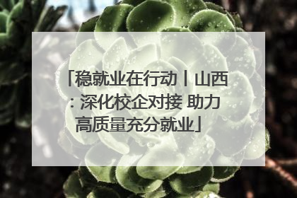稳就业在行动丨山西：深化校企对接 助力高质量充分就业