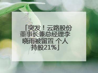 突发！云路股份董事长兼总经理李晓雨被留置 个人持股21%