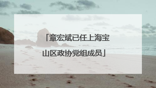 章宏斌已任上海宝山区政协党组成员