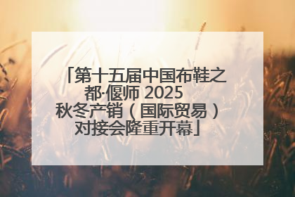 第十五届中国布鞋之都·偃师 2025 秋冬产销（国际贸易）对接会隆重开幕