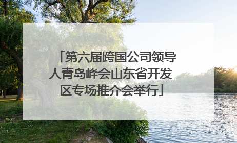 第六届跨国公司领导人青岛峰会山东省开发区专场推介会举行
