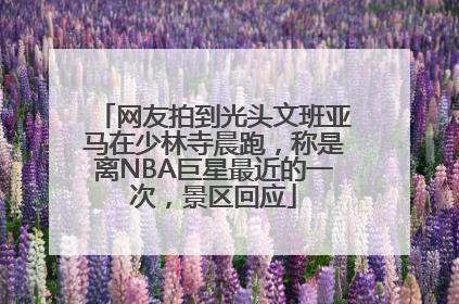 网友拍到光头文班亚马在少林寺晨跑，称是离NBA巨星最近的一次，景区回应