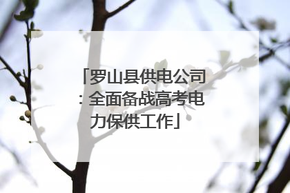 罗山县供电公司：全面备战高考电力保供工作