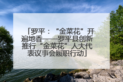 罗平：“金菜花”开遍地香——罗平县创新推行“金菜花”人大代表议事会履职行动