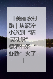 美丽农村路｜从泥泞小道到“精灵动脉”，德清有条“虾路”火了