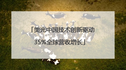 美光中国技术创新驱动35%全球营收增长
