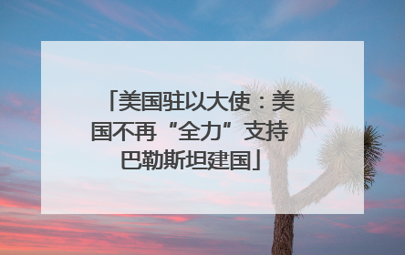 美国驻以大使：美国不再“全力”支持巴勒斯坦建国