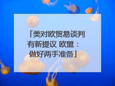 美对欧贸易谈判有新提议 欧盟：做好两手准备