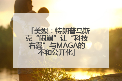 美媒：特朗普马斯克“闹崩”让“科技右翼”与MAGA的不和公开化