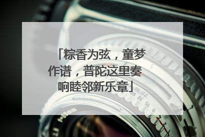 粽香为弦，童梦作谱，普陀这里奏响睦邻新乐章