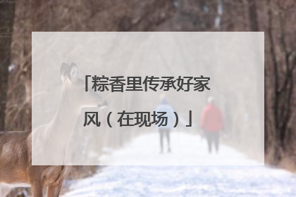 粽香里传承好家风（在现场）