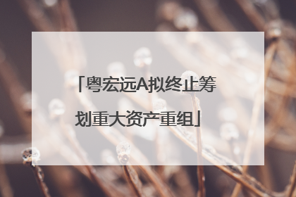 粤宏远A拟终止筹划重大资产重组