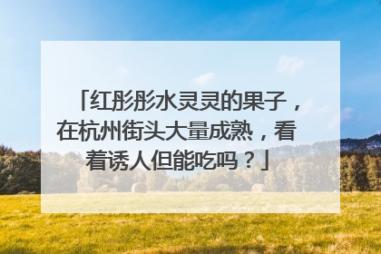 红彤彤水灵灵的果子，在杭州街头大量成熟，看着诱人但能吃吗？