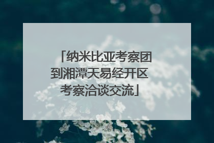 纳米比亚考察团到湘潭天易经开区考察洽谈交流