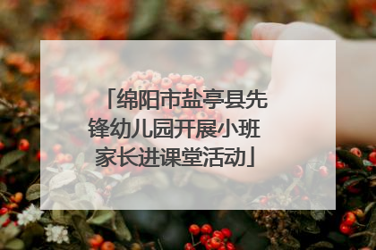 绵阳市盐亭县先锋幼儿园开展小班家长进课堂活动