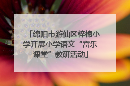 绵阳市游仙区梓棉小学开展小学语文“富乐课堂”教研活动