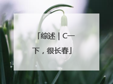 综述｜C一下，很长春