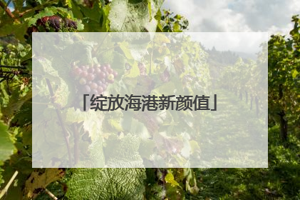 绽放海港新颜值