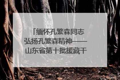 缅怀孔繁森同志 弘扬孔繁森精神——山东省第十批援藏干部人才清明节前到岗巴县开展党性教育