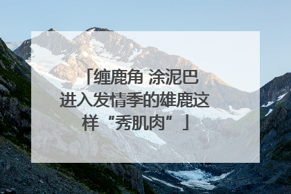 缠鹿角 涂泥巴 进入发情季的雄鹿这样“秀肌肉”