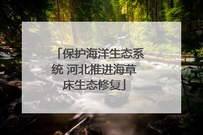 保护海洋生态系统 河北推进海草床生态修复