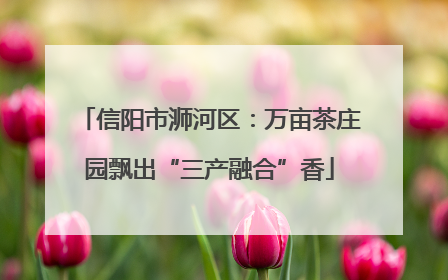 信阳市浉河区：万亩茶庄园飘出“三产融合”香