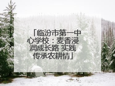 临汾市第一中心学校：麦香浸润成长路 实践传承农耕情