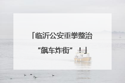 临沂公安重拳整治“飙车炸街”！