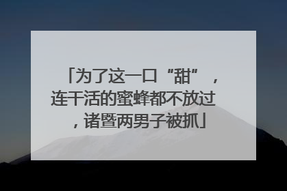 为了这一口“甜”，连干活的蜜蜂都不放过，诸暨两男子被抓