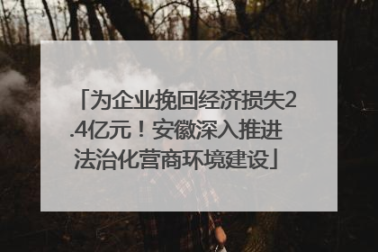 为企业挽回经济损失2.4亿元！安徽深入推进法治化营商环境建设