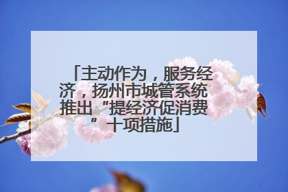 主动作为，服务经济，扬州市城管系统推出“提经济促消费”十项措施