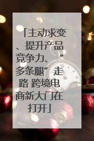 主动求变、提升产品竞争力、“多条腿”走路 跨境电商新大门在打开