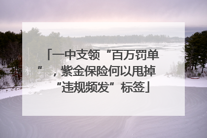 一中支领“百万罚单”，紫金保险何以甩掉“违规频发”标签