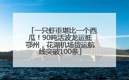 一只虾重堪比一个西瓜！90吨活波龙运抵鄂州，花湖机场货运航线突破100条