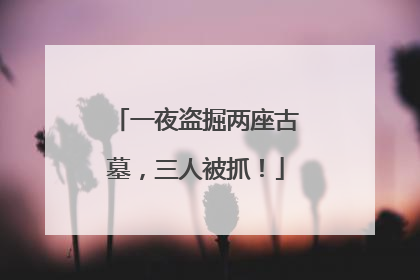 一夜盗掘两座古墓，三人被抓！